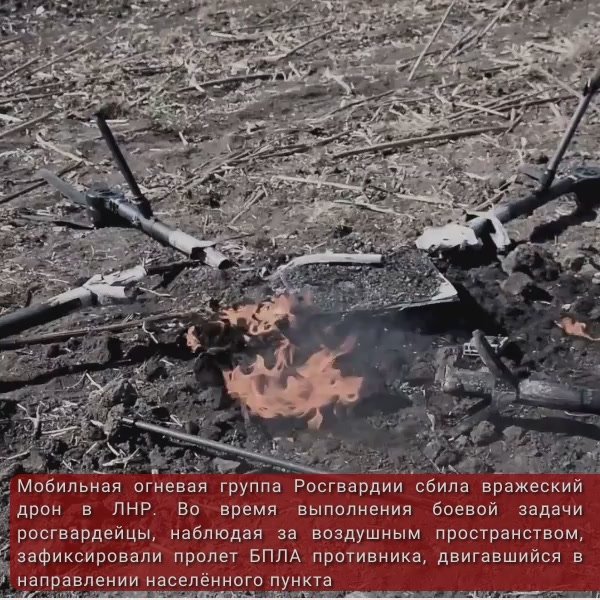 #ГлавноеЗаНеделю. Бойцы 116-й бригады особого назначения Росгвардии обнаружили и уничтожили украинских националистов в пригороде Волчанска Харьковской области В Москве состоялась рабочая встреча директора Росгвардии Героя...