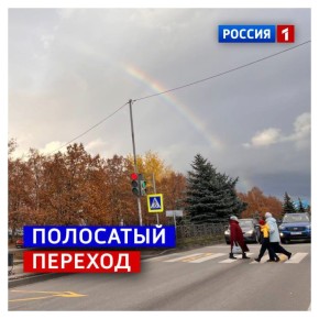 2 ноября, воскресенье. Природа ещ вчера намекала, что пора переходить в режим отдыха