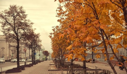 В Курской области 3 ноября ожидается до 12 градусов тепла