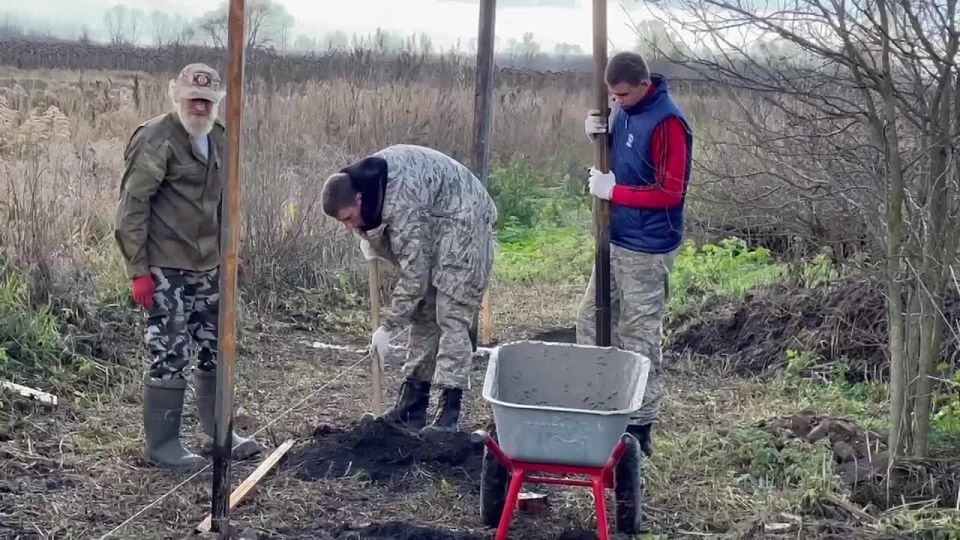  :                ( )