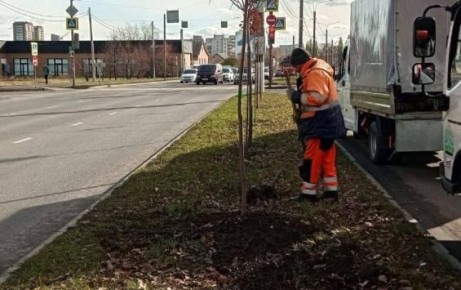 В Курске по гарантии заменили 10 деревьев и 37 кустарников, высаженных осенью 2024 года