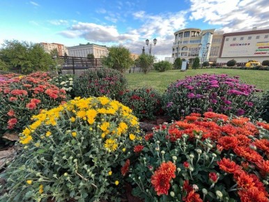 Сухая и умеренно теплая погода установилась в Курской области благодаря влиянию восточной периферии азорского антициклона