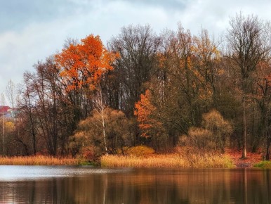 Доброе утро!. Первый понедельник ноября в этом году пришелся на выходной день