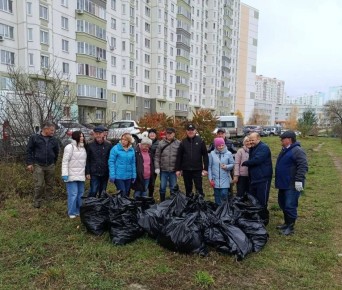 Сотрудники администрации Центрального округа устроили субботник