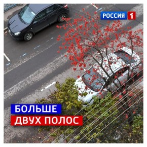 3 ноября, понедельник. Продолжаем наши «полосатые» размышления