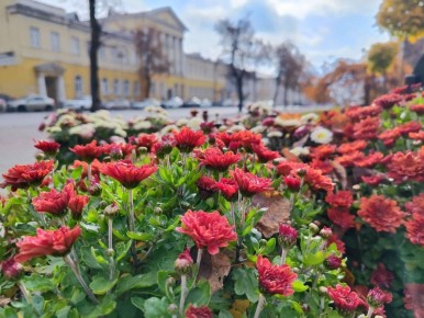 Доброе утро, друзья!. Поздравляем вас с Днём народного единства