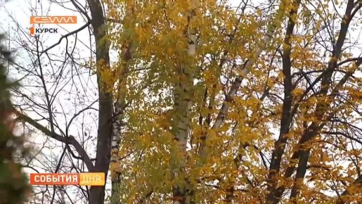 4 ноября - День народного единства, а в единстве - наша сила