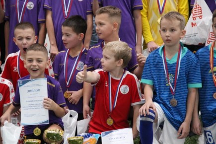 В Курской области в День народного единства партийцы провели первенство по самбо