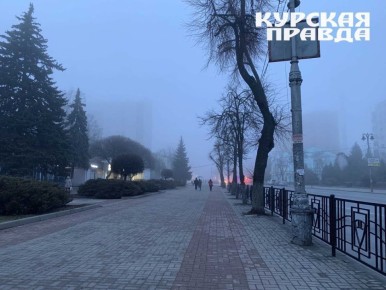 В Курской области 5 ноября обещают туман и до +11 градусов