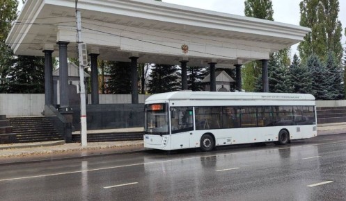 В Курске пассажиропоток троллейбусов вырос на 5 процентов за месяц