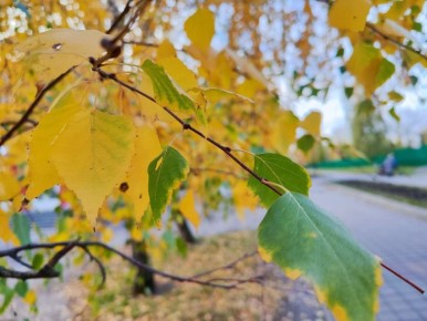 Доброе утро, друзья!. Вот и закончились длинные выходные