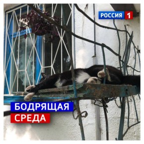 5 ноября, среда. Внезапное утро рабочего дня