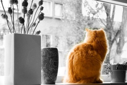 Такая хорошая погода, надо подвинуть компьютер ближе к окну. Представляем прогноз на 5 ноября в Курске