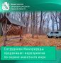 Сотрудники Минприроды продолжают мероприятия по охране животного мира
