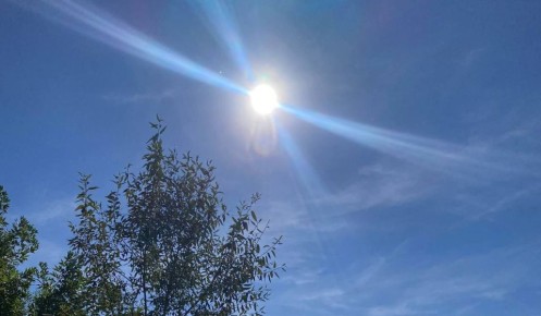 ПВО за 5 часов сбила пять украинских дронов днем 6 ноября над Курской областью