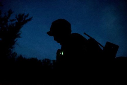 Опубликовано фото сгнивших тел бойцов ВСУ в Курской области