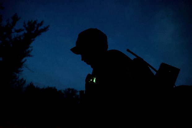 Опубликовано фото сгнивших тел бойцов ВСУ в Курской области