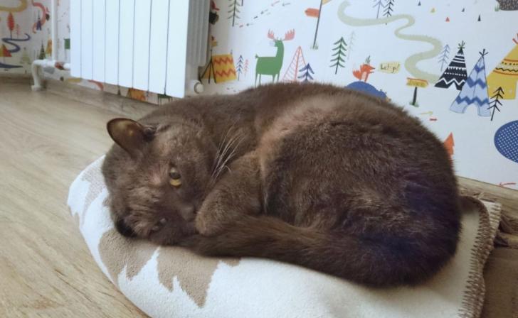 В Рыльске из-за атаки без тепла остались 150 человек