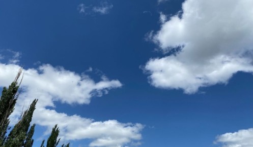 Два украинских БПЛА сбиты за утро 6 ноября над Курской областью