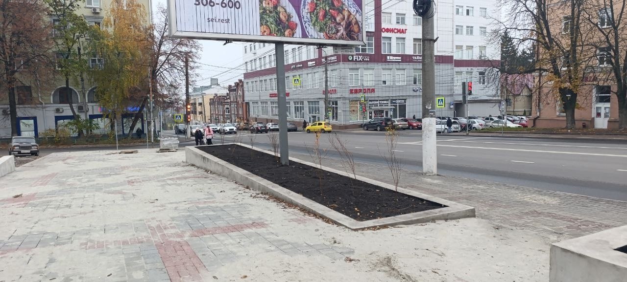 Сквер у ТЦ «Куряночка» в Курске готов на 81%