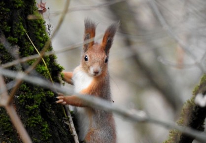 Доброе утро, друзья!. Сегодня в регионе будет облачно, осадки не прогнозируются