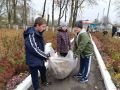Тимуровцы и учителя Толкачевской школы приняли активное участие в традиционной осенней экологической акции «Чистый школьный дворик»