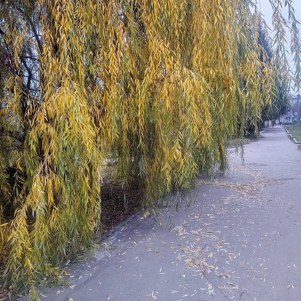 Доброе утро, Щигровский район!