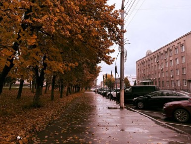 5 БПЛА самолетного типа сбили за день над Курской областью