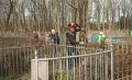 Курские студенты наводят порядок на Никитском кладбище