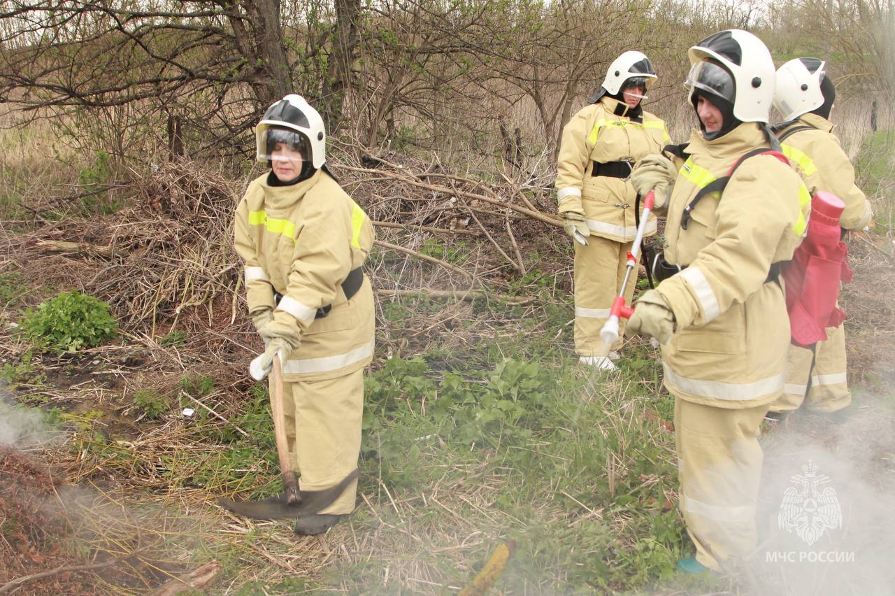 МЧС России разработаны типовые программы для подготовки пожарных-добровольцев