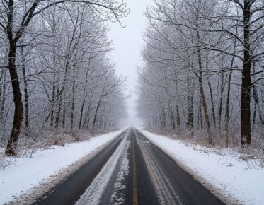 Синоптики предупредили курских чиновников об аномальных морозах