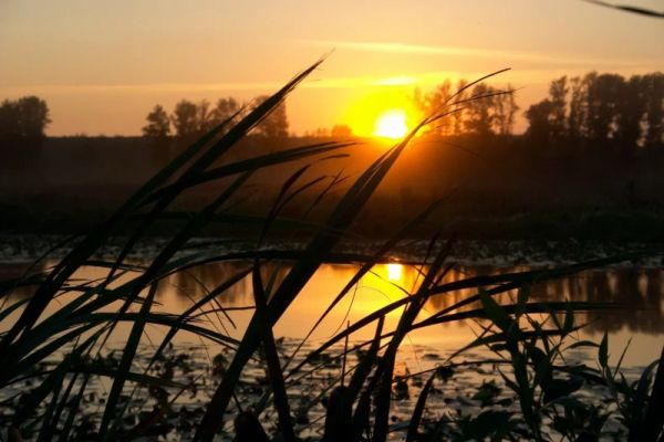 В Курской области за весенне-летний период утонуло 29 человек
