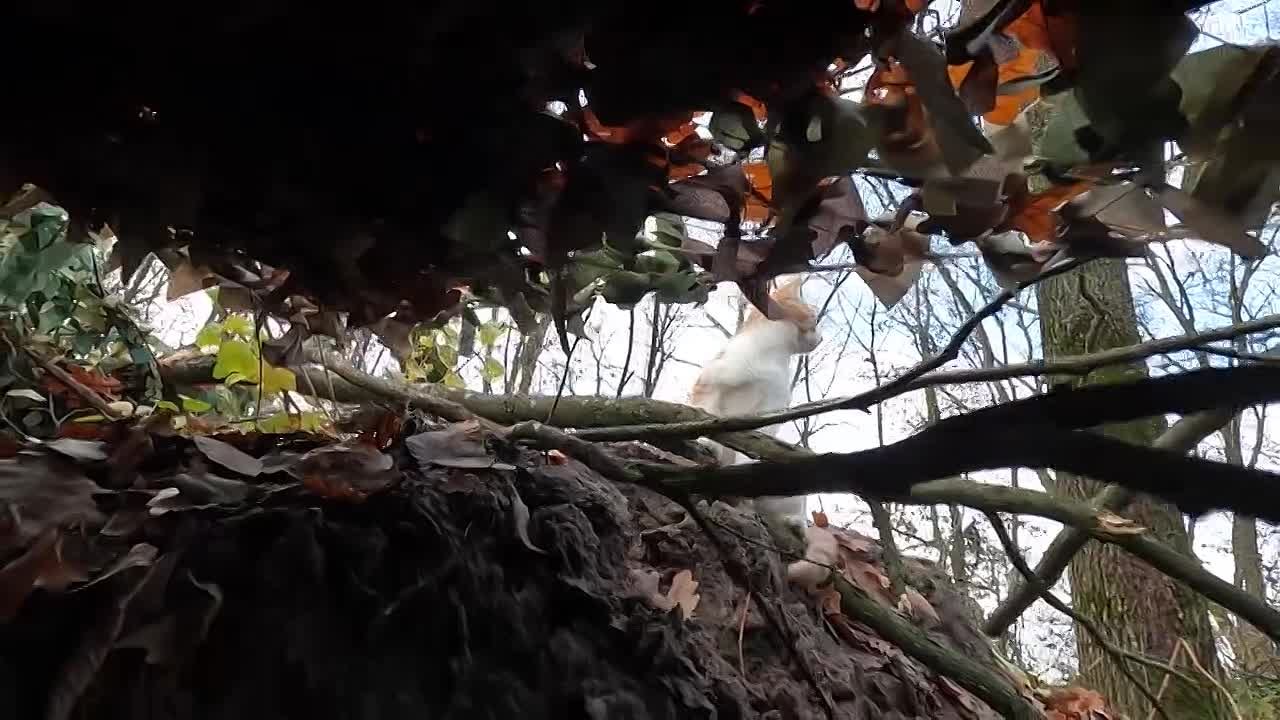 Российские бойцы взломали «Бабу Ягу»