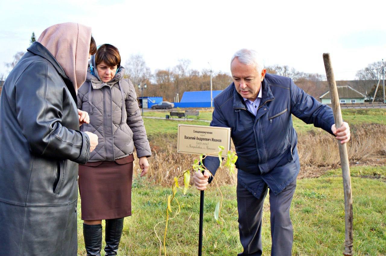 Единороссы посадили деревья в сквере Щигров