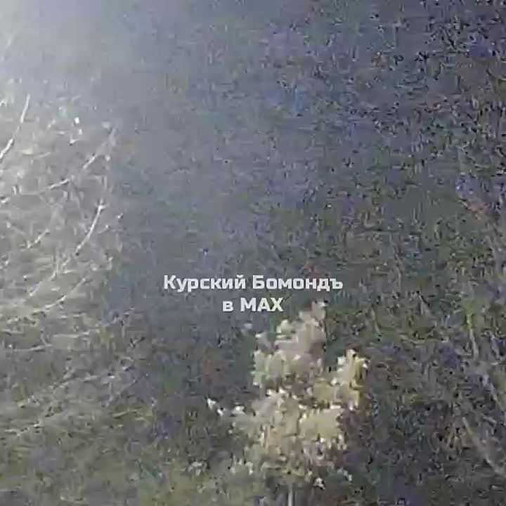 В соцсетях публикуют видео сбитий