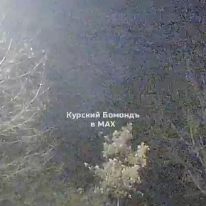 В соцсетях публикуют видео сбитий