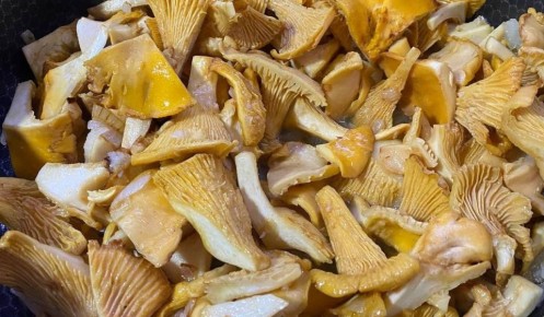 Число отравившихся грибами в Курской области выросло до 24