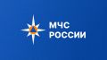 МЧС России разработаны типовые программы для подготовки пожарных-добровольцев МЧС России разработаны типовые программы для подготовки пожарных-добровольцев