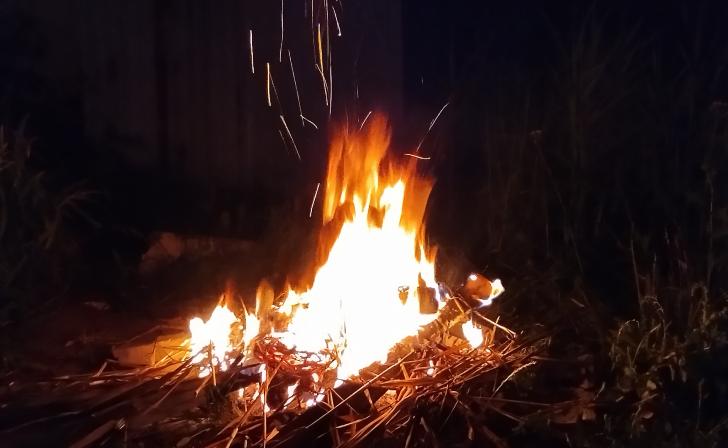 В Курской области планируют изменить правила разжигания костров на огородах