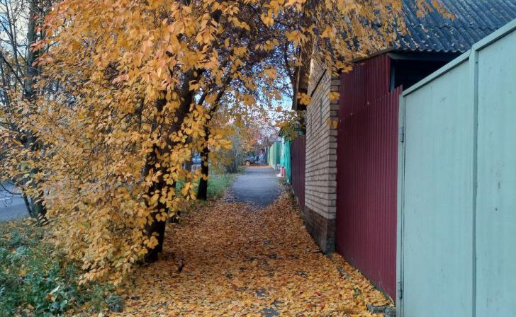 В Курской области 8 ноября ожидается теплая и сухая погода