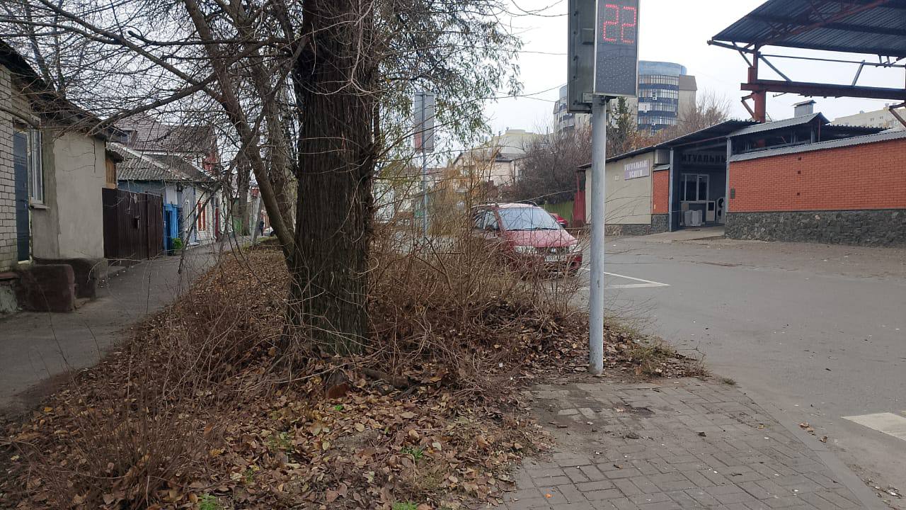 К главе города Евгению Маслову обратилась жительница с жалобой на мусор в районе перекрестка по улице Красной Армии