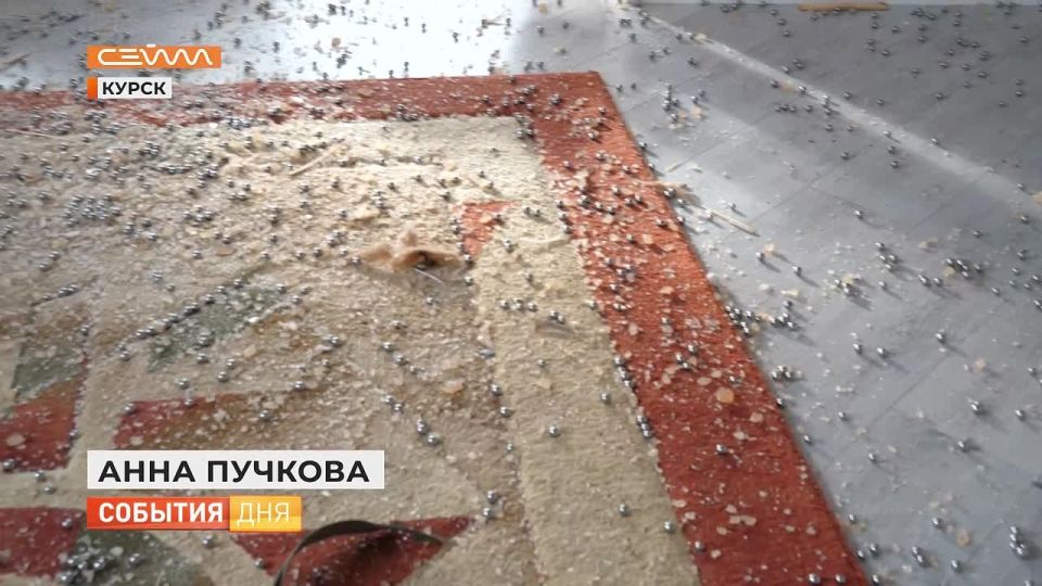 После ночной атаки беспилотников ВСУ на Курск комиссия провела подомовый обход - по поручению главы региона Александра Хинштейна