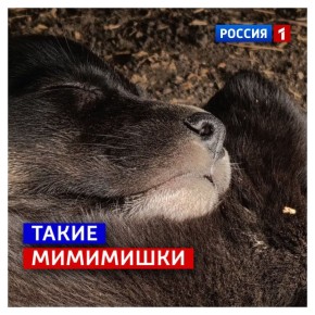 9 ноября, воскресенье. Надеемся, выходные пролетят не так быстро, как будни на этой неделе