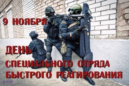 День специального отряда быстрого реагирования — профессиональный праздник сотрудников СОБР ФСВНГ Российской Федерации, который отмечается в России ежегодно 9 ноября