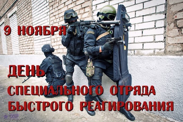 День специального отряда быстрого реагирования — профессиональный праздник сотрудников СОБР ФСВНГ Российской Федерации, который отмечается в России ежегодно 9 ноября