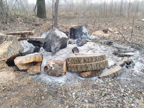 В Курске руководитель минприроды потребовал навести порядок в парке «Боева дача».