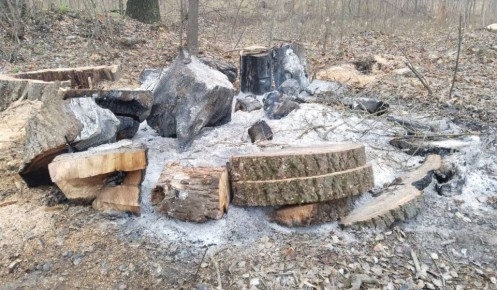 Министр природных ресурсов Левин раскритиковал подрядчика за работы на «Боевке»