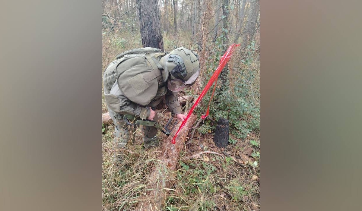 Отряд «БАРС-Курск» разминировал почти 200 гектаров в регионе за неделю