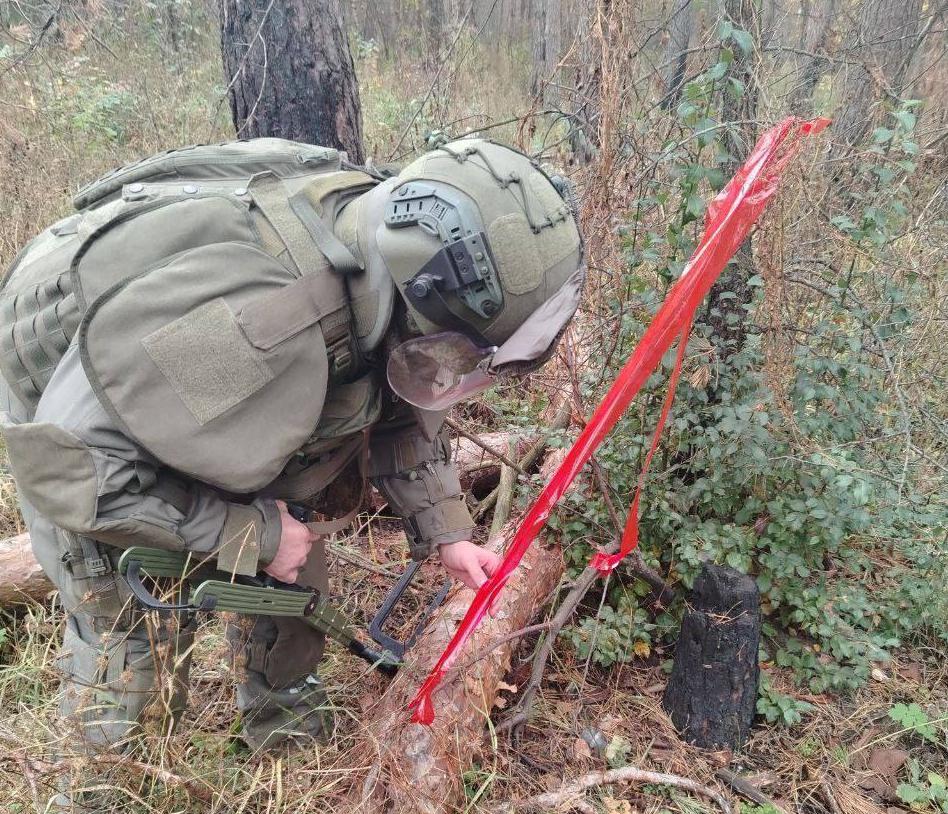 За неделю в курском приграничье обнаружено 292 взрывоопасных предмета