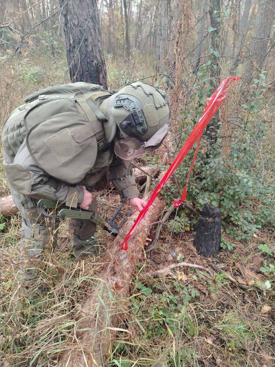 За неделю в курском приграничье обнаружено 292 взрывоопасных предмета